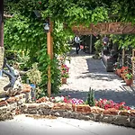 Insula Hotel Neptun