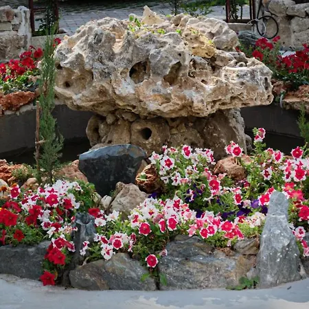 Hotel Insula Neptun
